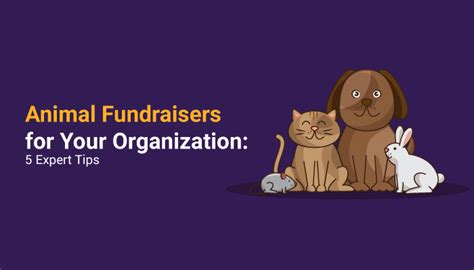 Animal Fundraising: 4 Top Ideas for Your Organization.